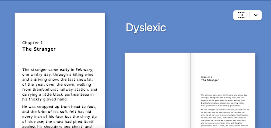 Screenshot of Dyslexic style selected, showing the OpenDyslexic font