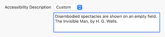 Custom Accessibility Description including text used to describe the content of the cover