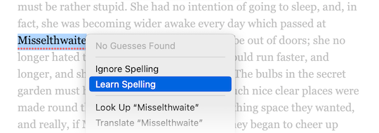 The Text Editor’s context menu with Learn Spelling selected