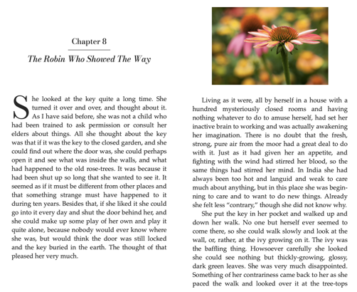 Two pages in an ebook: one showing an empty space because the image on the following page won’t fit