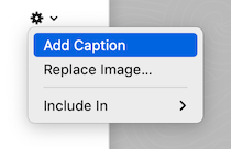 The gear menu for an Inline Image