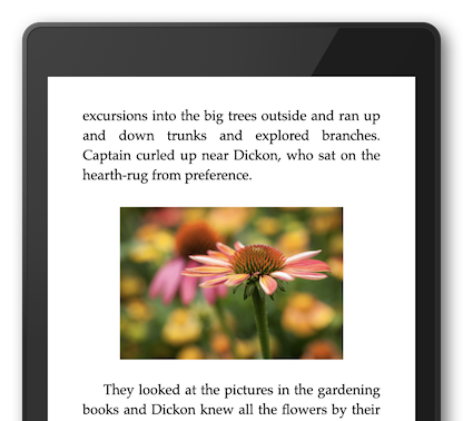 A large, centered image in Vellum’s Preview