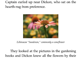 Vellum’s Preview showing an Inline Image with a caption